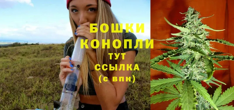 где найти   мега tor  Бошки Шишки OG Kush  Бугуруслан 